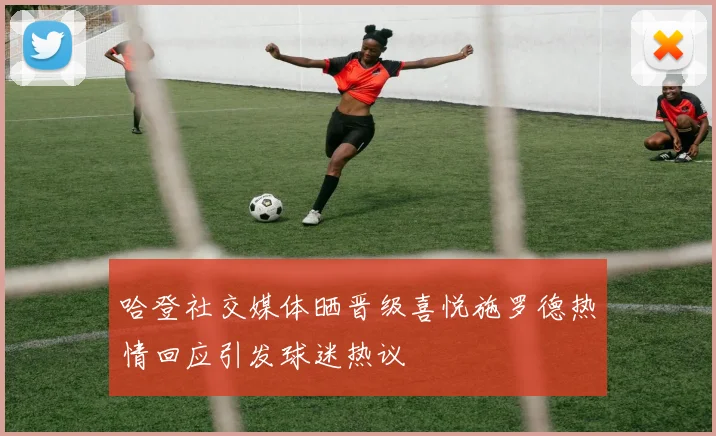 哈登社交媒体晒晋级喜悦施罗德热情回应引发球迷热议