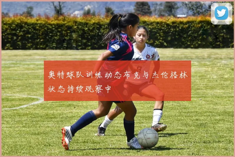 奥特球队训练动态布克与杰伦格林状态持续观察中